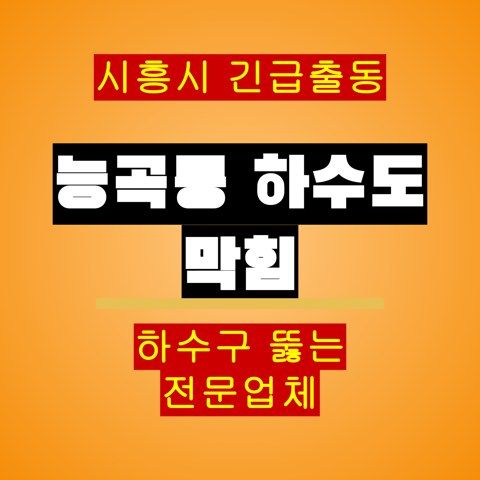 능곡동 하수도 막힘 5260