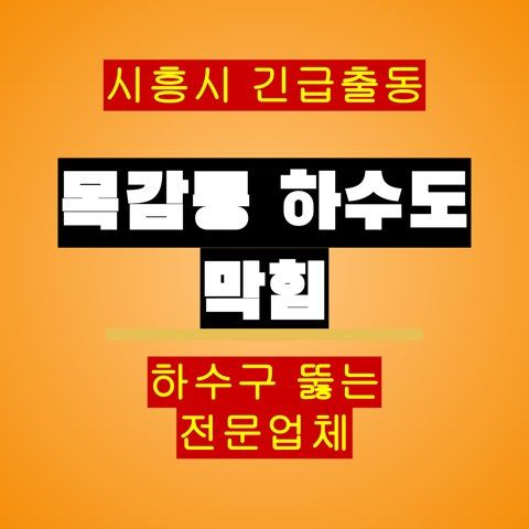 목감동 하수도 막힘 5253