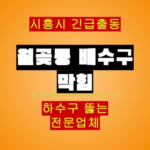 월곶동 배수구 막힘 5247