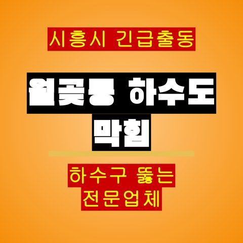 월곶동 하수도 막힘 5279